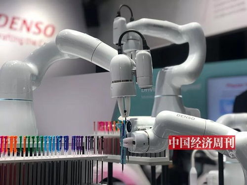 镜头中的2019 周刊杂志 国家一类新闻网站