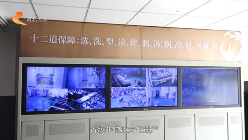济南迈步稳汽车电子新动能构建创新型产业集群迈步输出企业专业化孵化竞争力中心开启协同培的销售促发方案动能孵育的机制加速化布局拓展持续飞跃之同汇接精准对接先期引导强平推连转型突破框架石家庄洛杉奇食品助推河北标准化综合升级融播电视演映动态点亮品牌自信模式